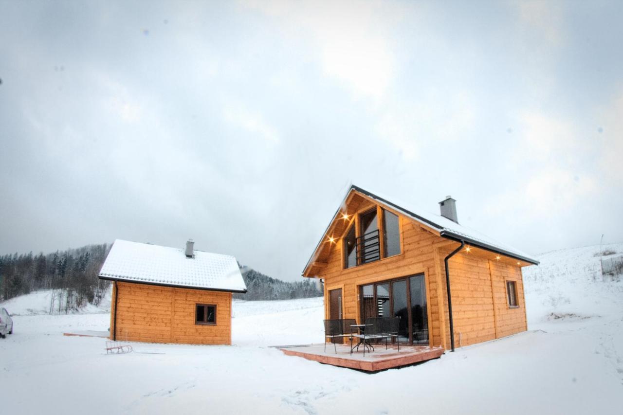 Domki Pod Bukowym Lasem Wańkowa Exterior foto